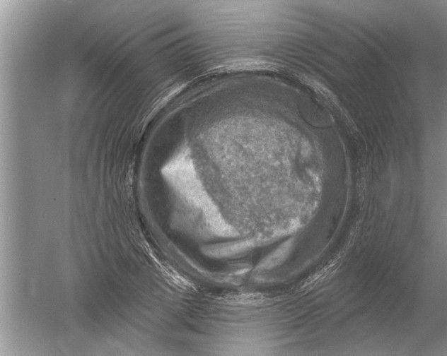 X0000052570833200507152250