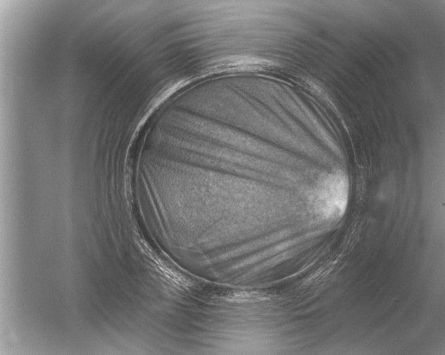 X0000052570835200507152250