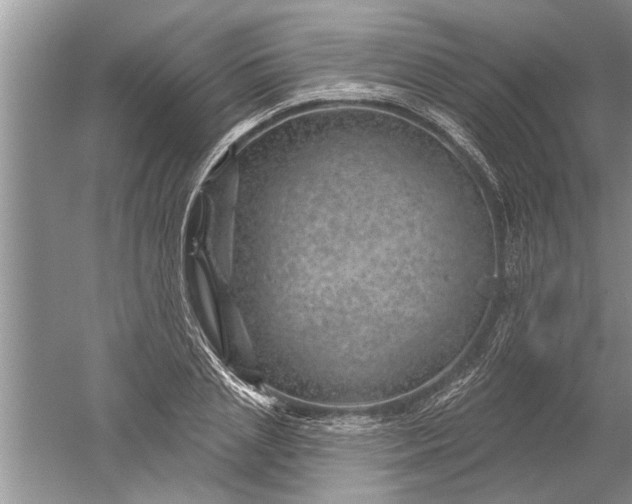 X0000052570837200507152250