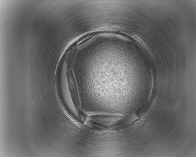 X0000052570838200507152250