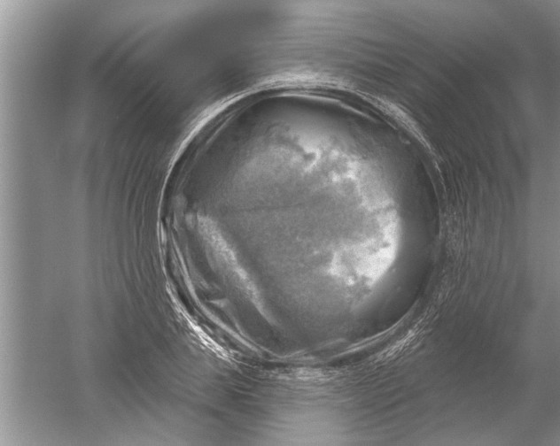 X0000052570839200507152250