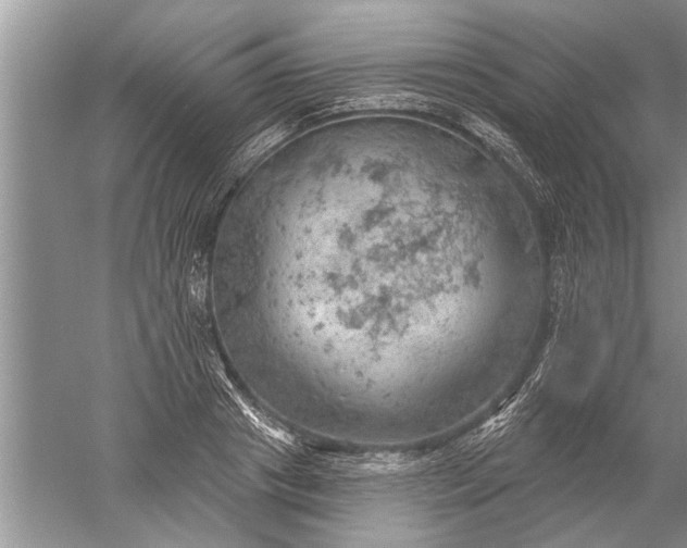 X0000052570841200507152250