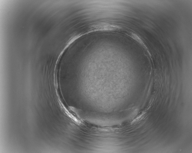 X0000052570843200507152250