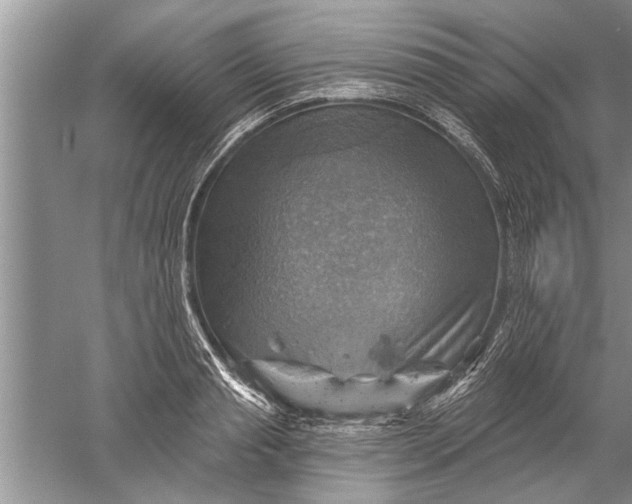 X0000052570845200507152250