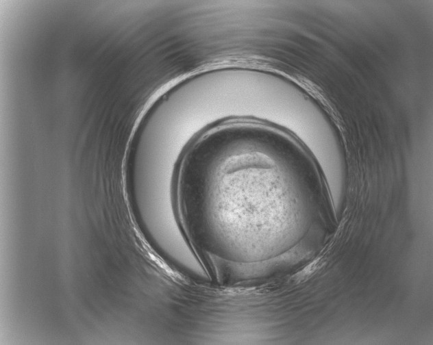 X0000052570846200507152250