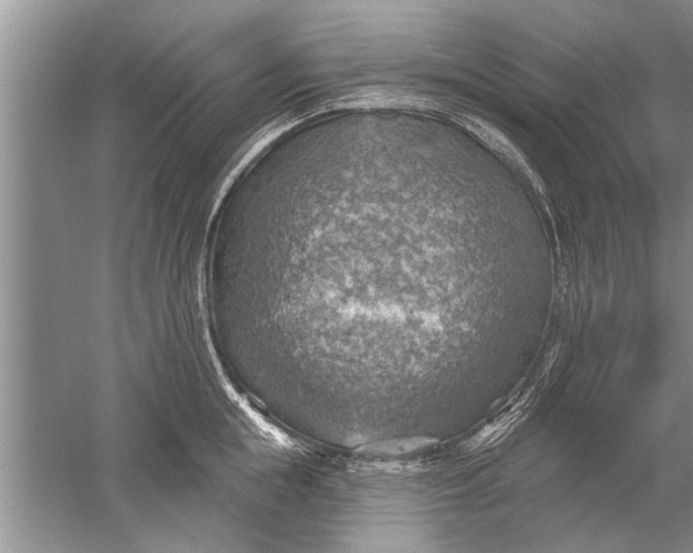 X0000052570855200507152250