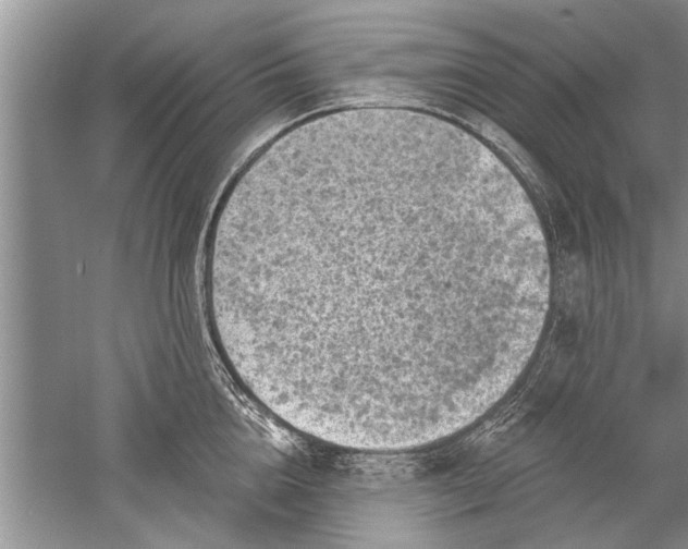 X0000052570856200507152250