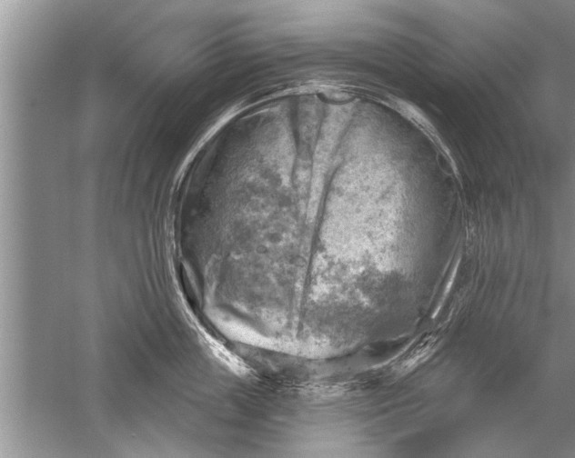 X0000052570859200507152250