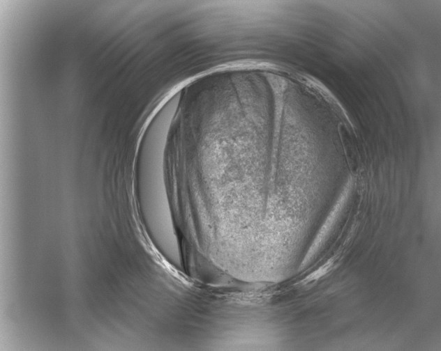 X0000052570860200507152250