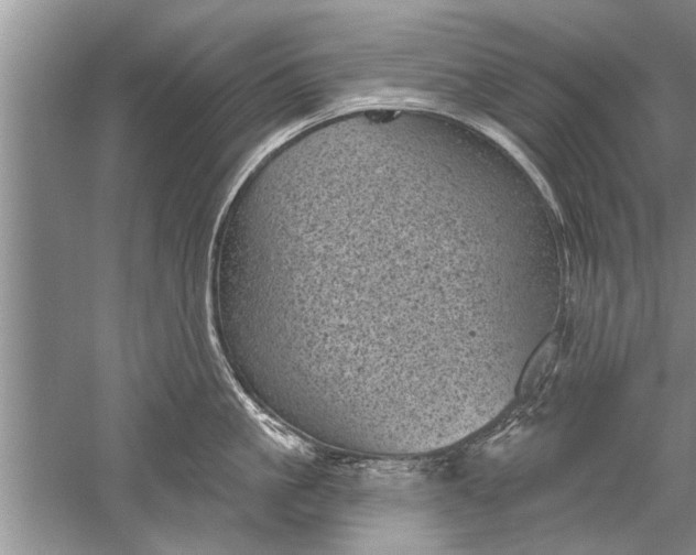 X0000052570861200507152250