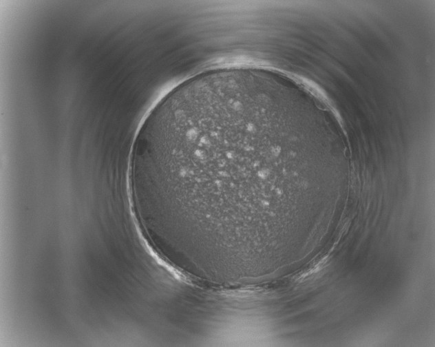 X0000052570863200507152250