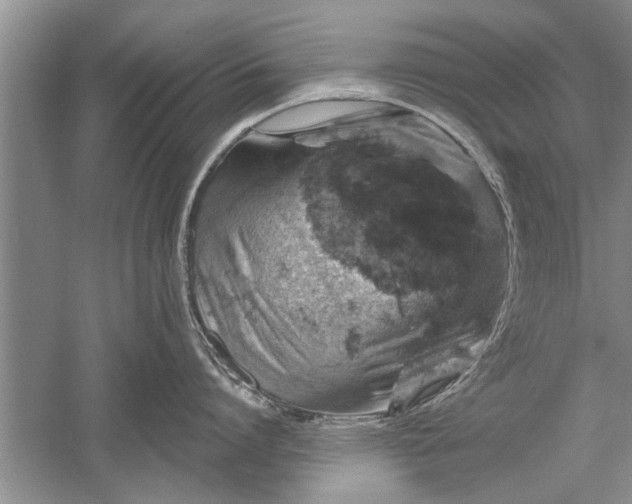 X0000052570864200507152250