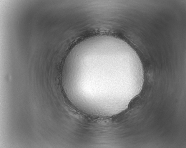 X0000052570865200507152249