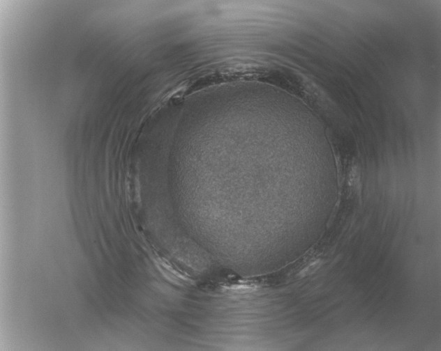 X0000052570868200507152249