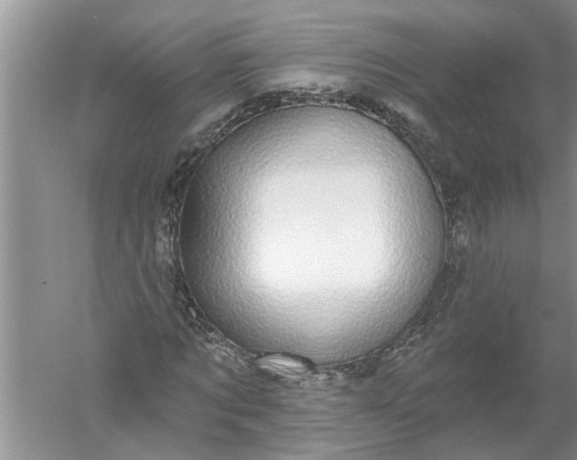 X0000052570869200507152249