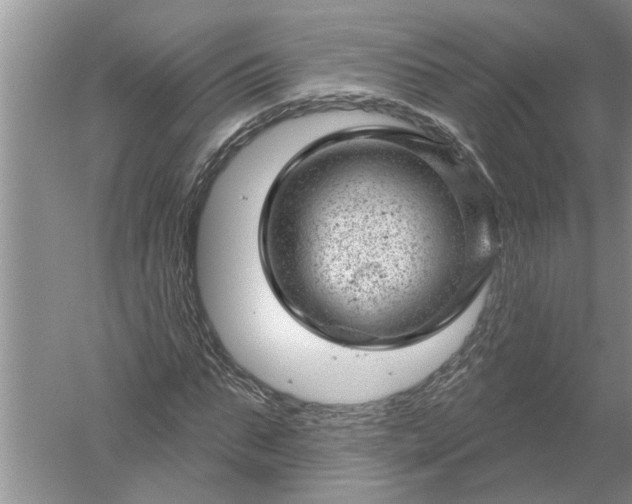 X0000052570871200507152249