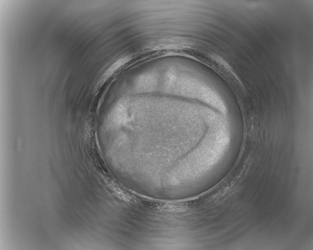 X0000052570874200507152249