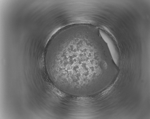 X0000052570875200507152249