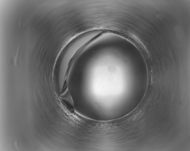 X0000052570876200507152249