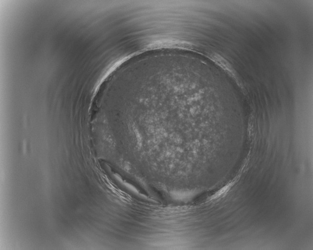 X0000052570877200507152249