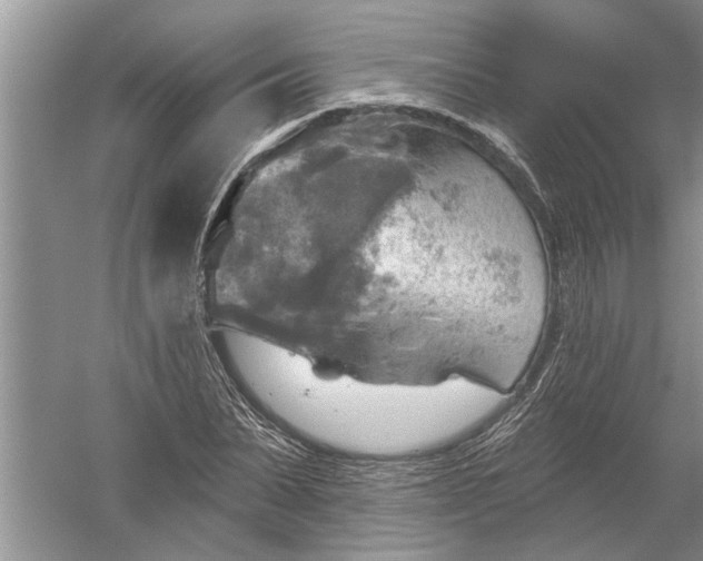 X0000052570879200507152249