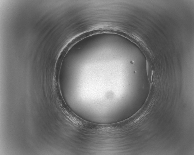 X0000052570880200507152249