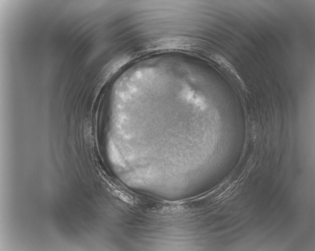 X0000052570882200507152249