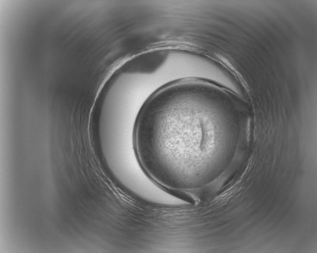 X0000052570883200507152249