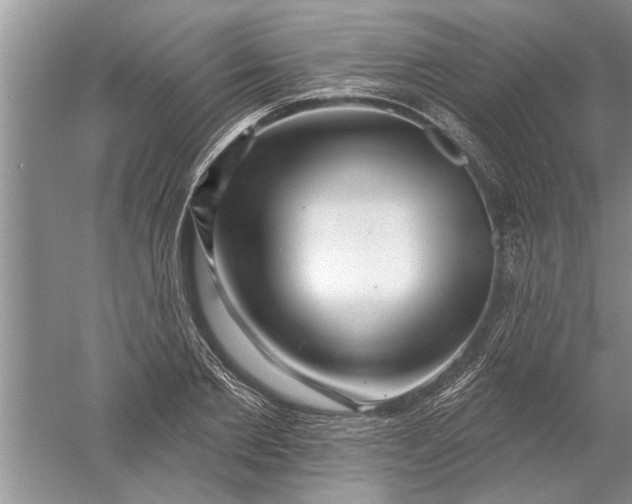 X0000052570885200507152249