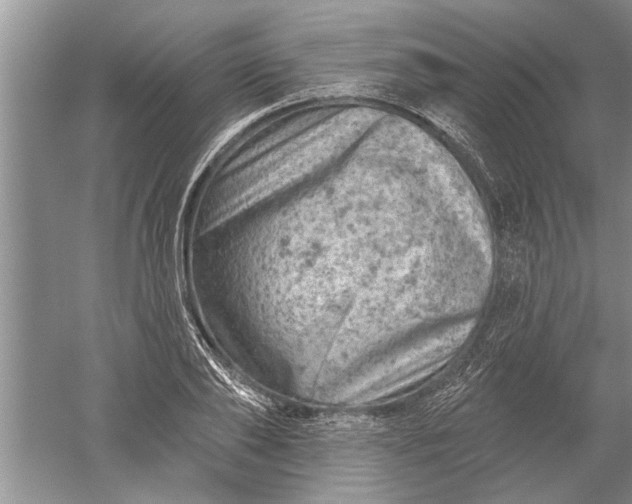 X0000052570886200507152249