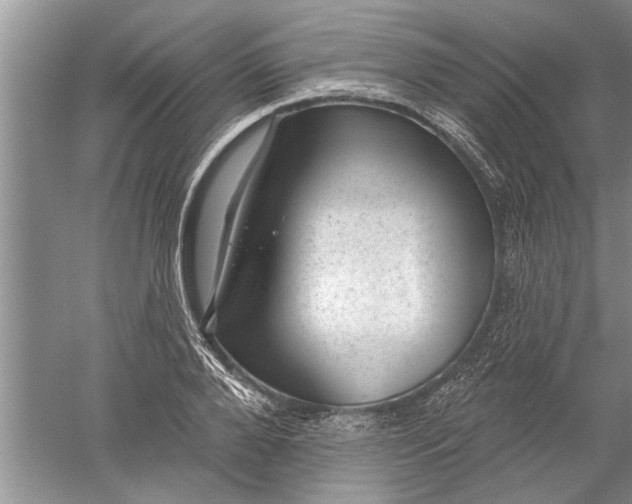 X0000052570888200507152249