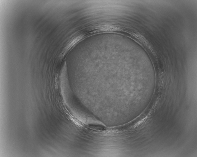 X0000052570889200507152249