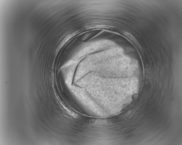 X0000052570890200507152249