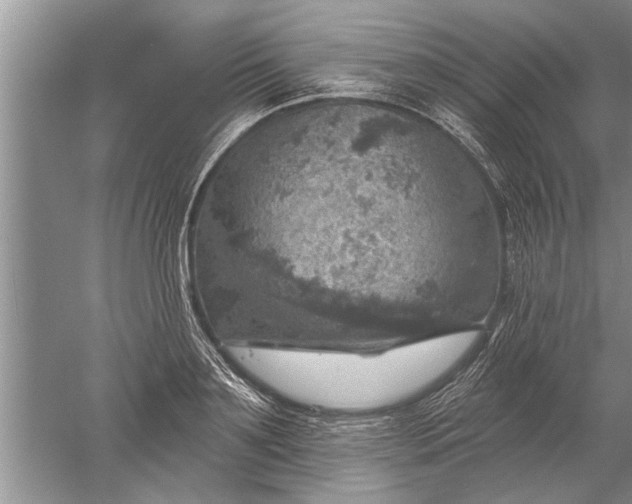 X0000052570891200507152249