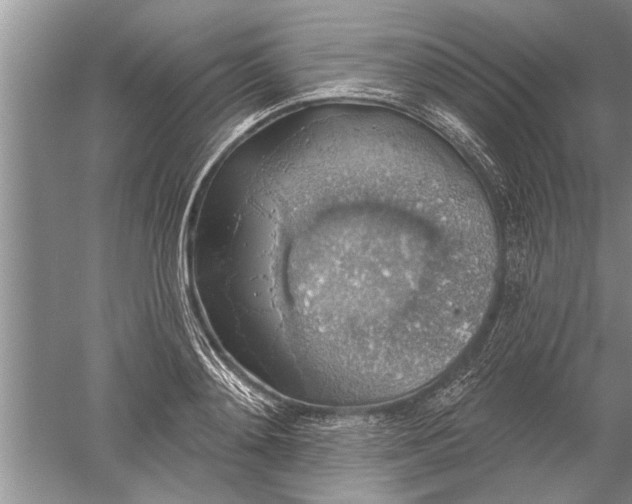 X0000052570892200507152249