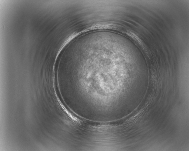 X0000052570894200507152249