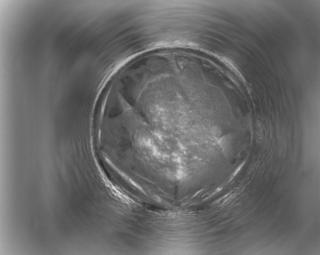 X0000052570895200507152249