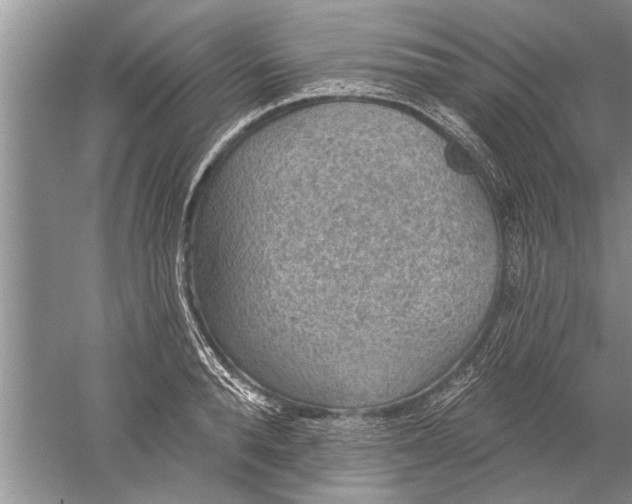 X0000052570896200507152249