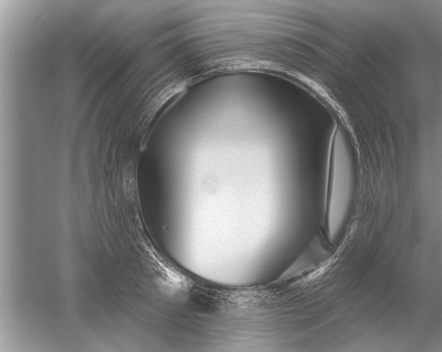 X0000052570897200507152249