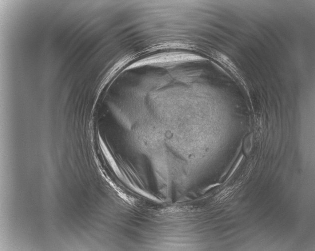 X0000052570898200507152249