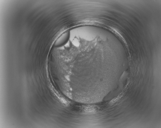 X0000052570899200507152249