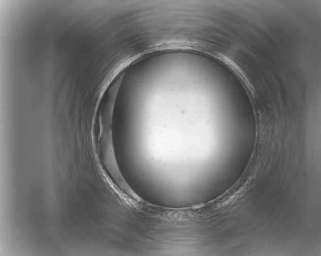 X0000052570901200507152249