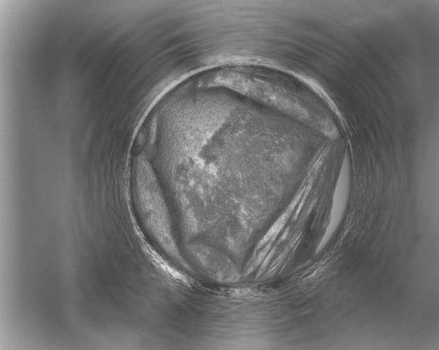 X0000052570903200507152249