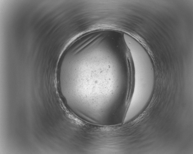 X0000052570904200507152249