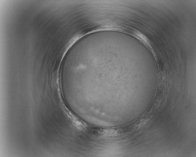 X0000052570907200507152249