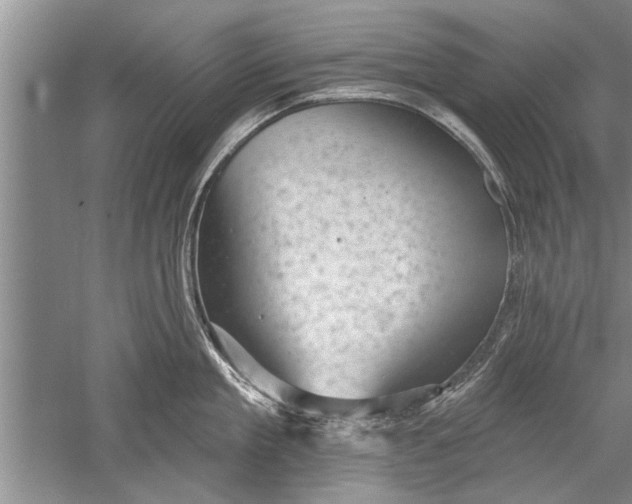 X0000052570909200507152249