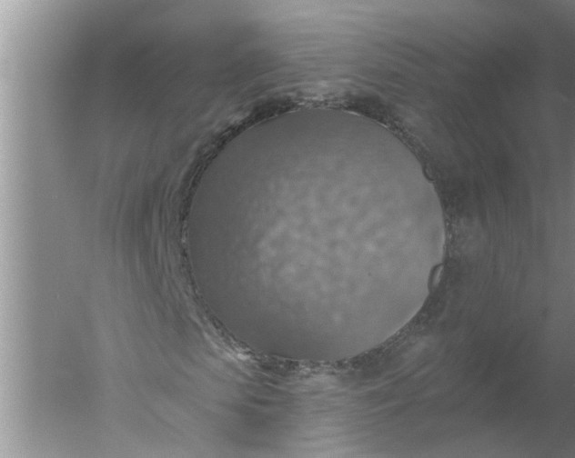 X0000052570913200507152248