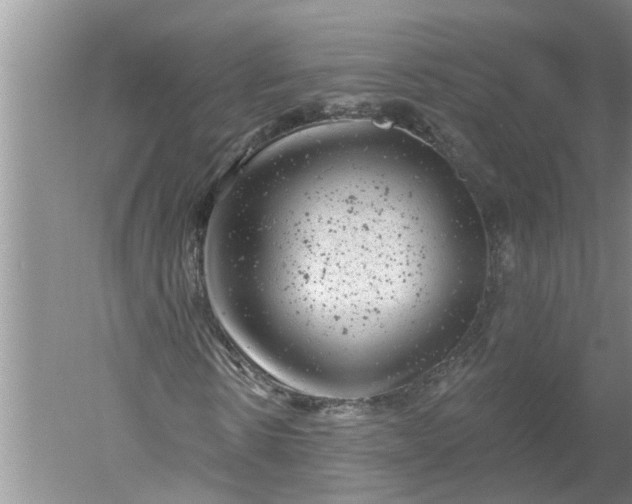 X0000052570914200507152248