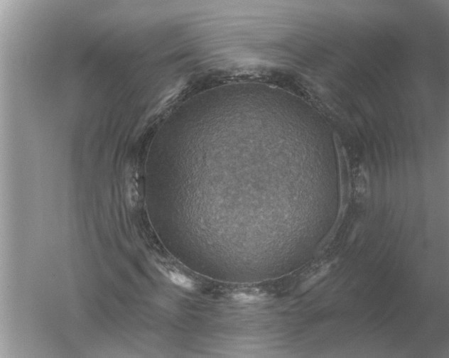 X0000052570916200507152248