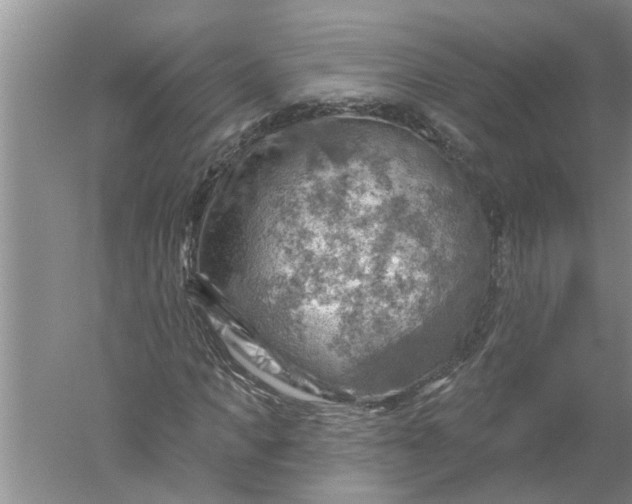 X0000052570917200507152248